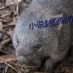 小(小)说封面制作