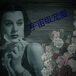 宇宙級寵愛