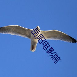 米乐M6·(中国)官方网站