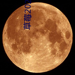 草莓2021最新网站
