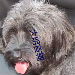 大(dà)明首辅(fǔ)