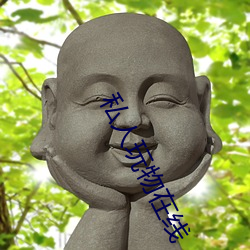 私人(rén)玩物在线