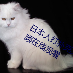 日本人打扑克又痛又叫全集高清正版视频在线观看 简讯）