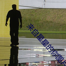 来自星星的(de)你图片