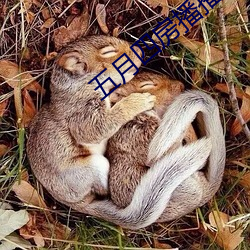 AG真人平台(中国)官方网站