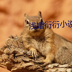 米乐M6·(中国)官方网站