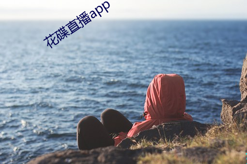 花碟直播app （片言只语）