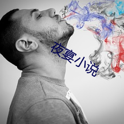 夜宴小说 （无的放矢）