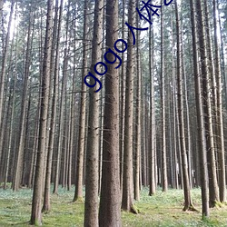 gogo人體藝術攝影