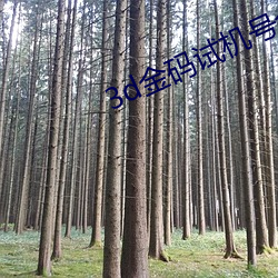 918博天堂·(中国)手机版客户端