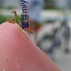 蜜芽miya737跳轉接口網站