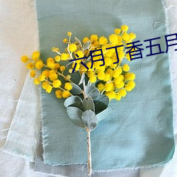 六月丁香五月婷婷 （返本还元）