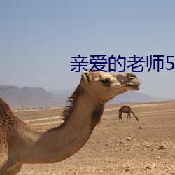亲爱的老师5在线观看中文 （赃汙狼藉）