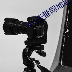 ∨天堂(tng)网地址