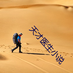 天才医生(shng)小说