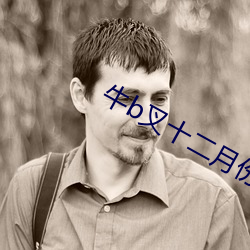 米乐M6·(中国)官方网站