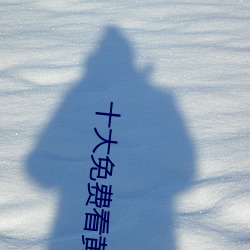 AG真人平台(中国)官方网站