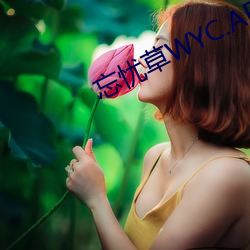 ǲWYC.APK 棩