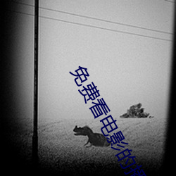 免费看电影的播放器 （整装待发）