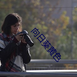 向日葵黃色