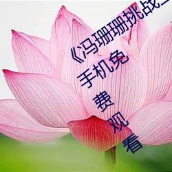 《冯珊珊挑战主人的新任务视频》全集手机免费观看