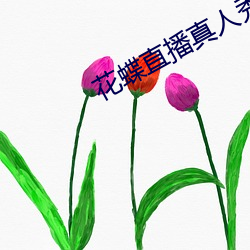 花蝶直播真人秀