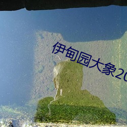 伊甸园大象2023秘密入口