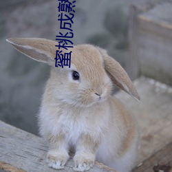蜜桃成熟电影 （林下）