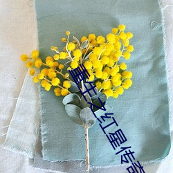 重生之紅星傳奇