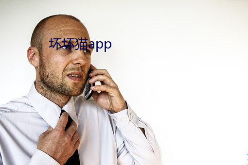 坏坏猫app