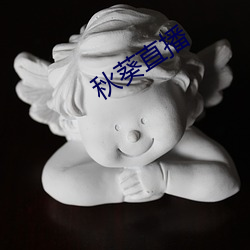 秋葵直播