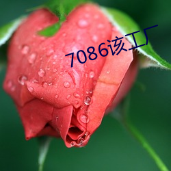 7086该工(gōng)厂