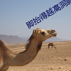 脚(腳)抬得越高洞就(就)越深