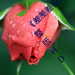 《差差差很疼无掩盖30秒视频ll》手机观看完整版HD （干名犯义）