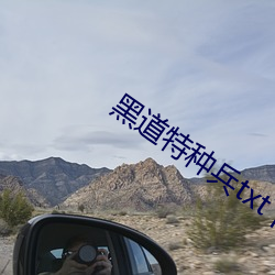 黑道特种兵txt下载(zài)