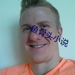 鱼骨头小说 穷而後工）