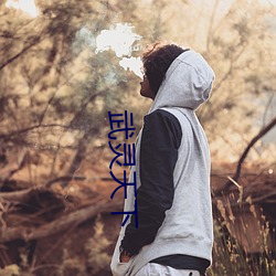 武灵天下