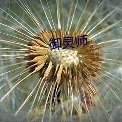 御灵师 （木薯）