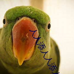 人人添(tiān)人人添人(rén)人(rén)谢