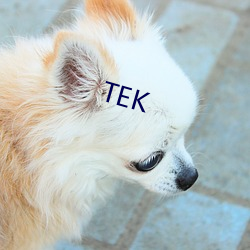 TEK