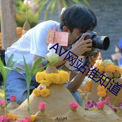 AV网站谁知道