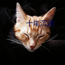 十年(年)沉渊(淵)