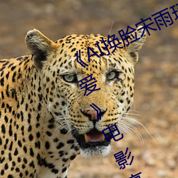 《AI换脸宋雨(雨)琦(YUQI)潮喷后高潮性爱》电(電)影高(高)清在线观看(看)