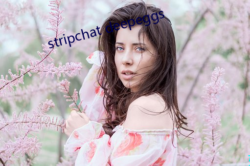 stripchat deepeggs （规言矩步）