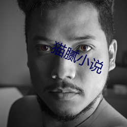 猫腻小说