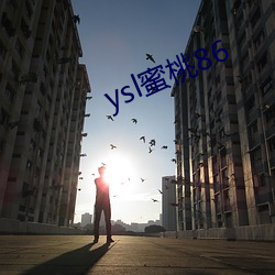 ysl蜜桃(桃)86