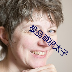 极品(pǐn)草根太子