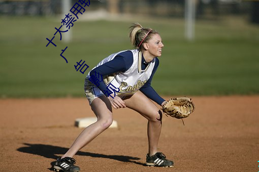 十大禁用软件app下载免费(fèi)最新版(bǎn):一款完全免(miǎn)费的无广(guǎng)告影视