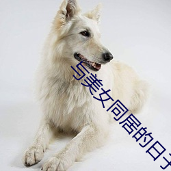 与美女同居的日子