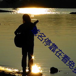 域名停(停)靠在看(看)免费(費)